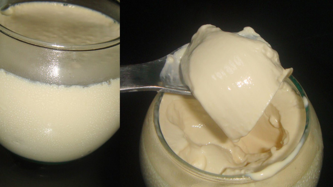 vanila bean panna cotta