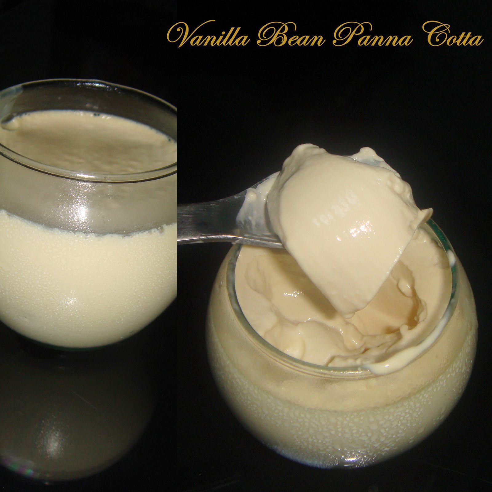vanila bean panna cotta