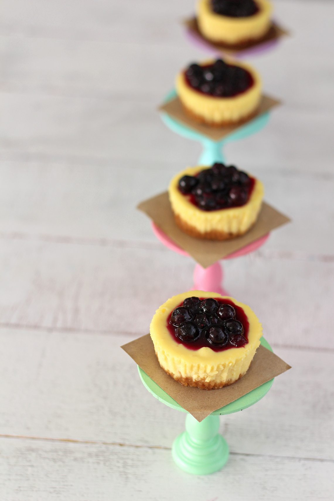 blueberry-cheesecake