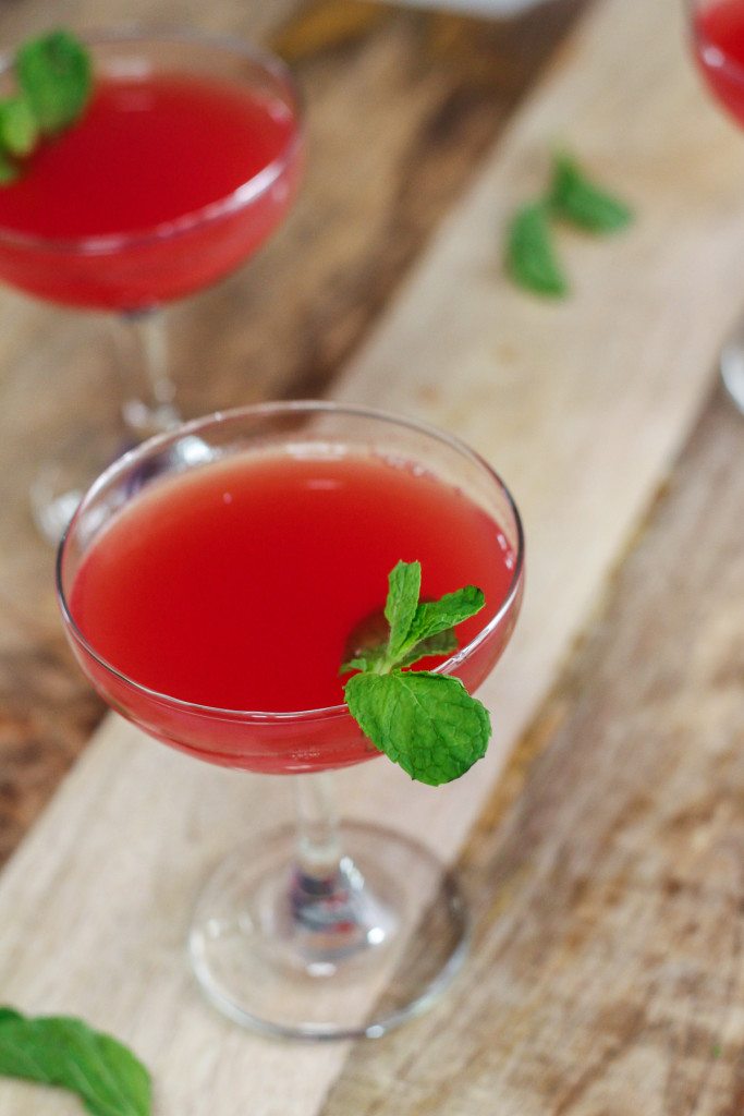 Watermelon Lemonade Recipe