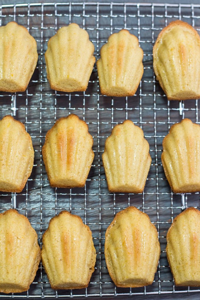 Classic Madeleine Recipe