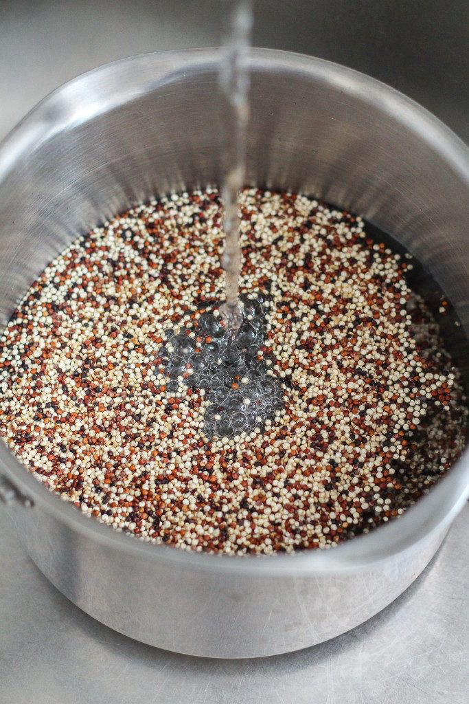 How To Cook Quinoa