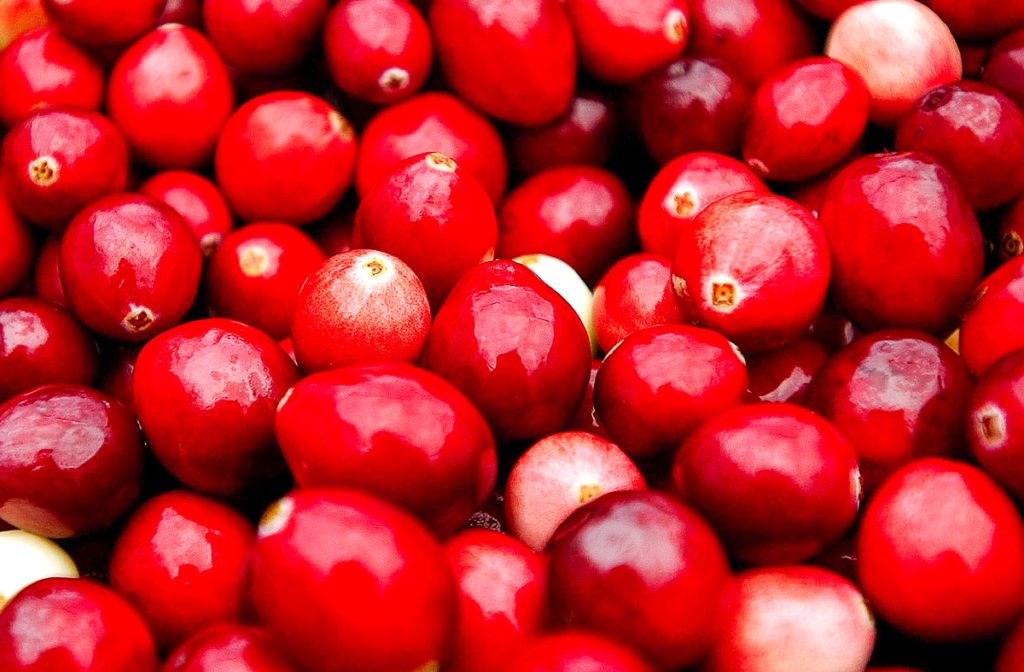 Homemade Cranberry Juice